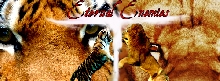 Who is the King of the Beast?