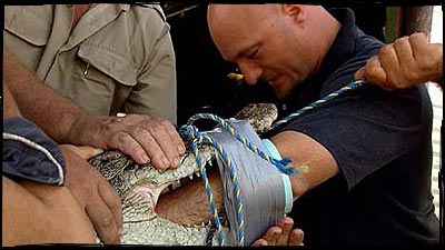 Arm in croc's mouth!!!