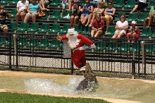 RUN SANTA! RUN!