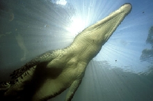Underview