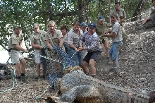 Supercroc