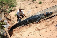 Croc Being Captured