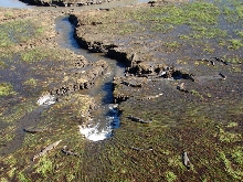 Tapping The Source