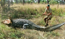 Steve capturing saltie