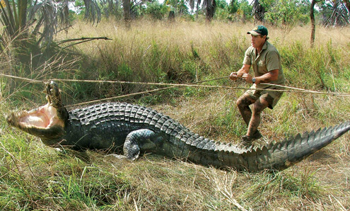 Steve capturing saltie
