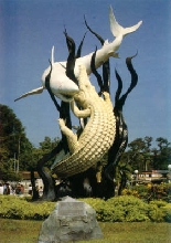 Crocodile Vs. Shark