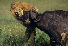 Thats Got to Hurt!