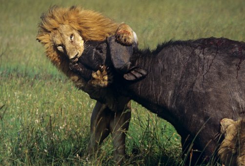 Thats Got to Hurt!