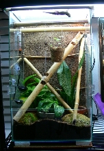terrarium