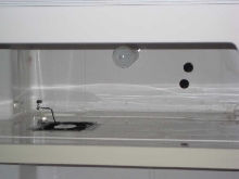 Incubator2