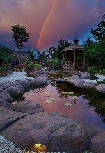 My Pond at Dusk after a rain