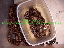 ECC