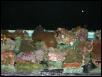 Saltwater Photos