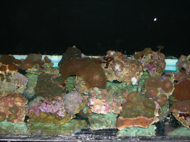 Saltwater Photos