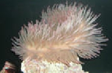 test photos