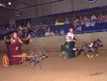 ROMAN CHARIOT RACE