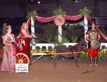 RED WINNING RESERVE