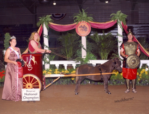 RED WINNING RESERVE