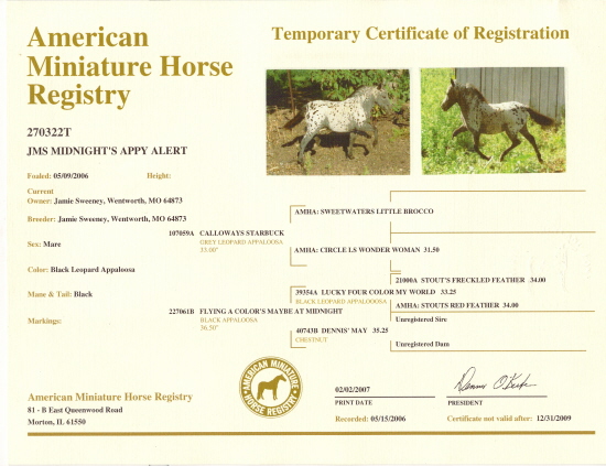 New AMHR Registration Papers