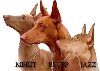 Plupp with kids Merit and Jazz