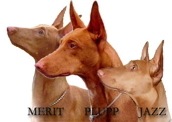 Plupp with kids Merit and Jazz