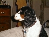 Abigail