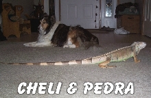 CHELI & PEDRA