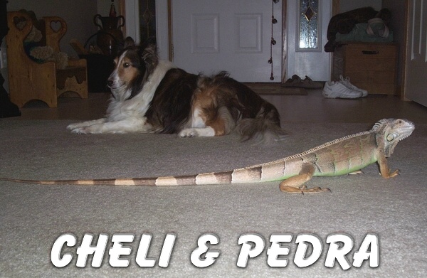 CHELI & PEDRA