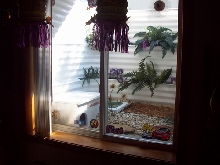 BASEMENT WINDOW TERRARIUM