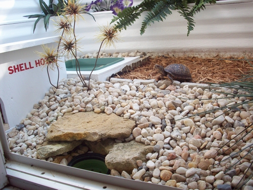 SHELL HOTEL