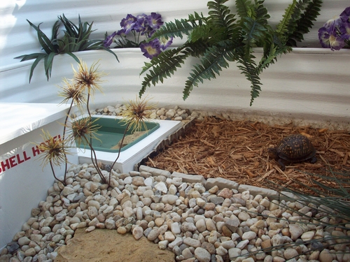 SHELL HOTEL 2