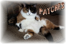 PATCHES