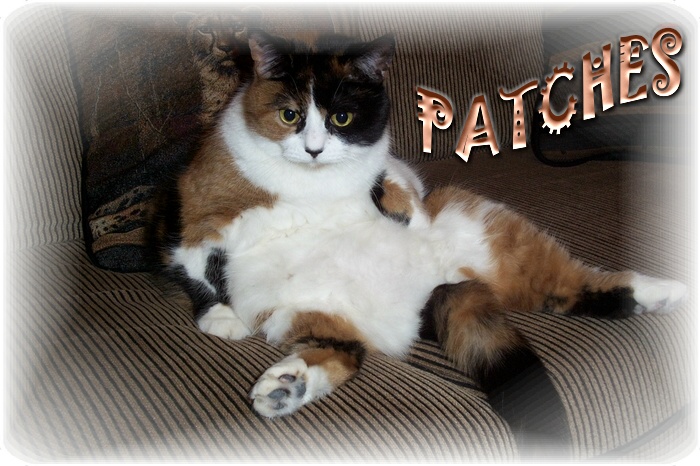 PATCHES
