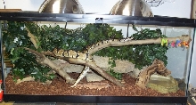 MAX'S CAGE