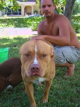 oscar male red nose