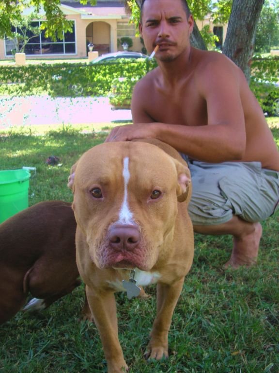 oscar male red nose