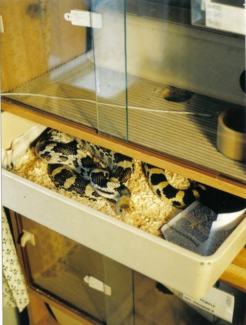 drawer system