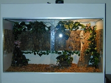 New Enclosure