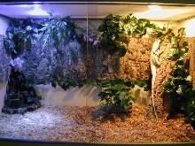 New Enclosure