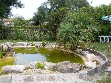 turtle pond
