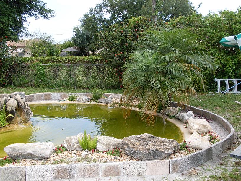 turtle pond