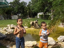 snakeboys