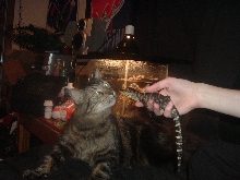 Sobek meets Duzie