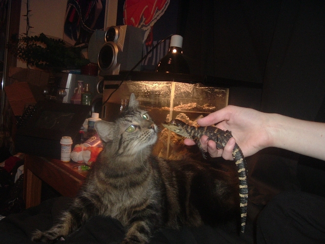 Sobek meets Duzie