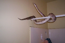 I don't want a bath!