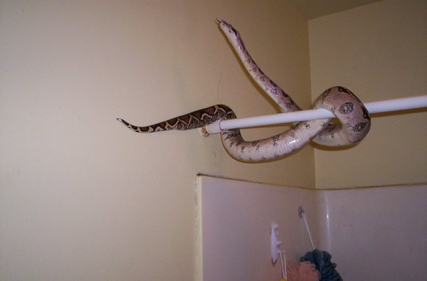 I don't want a bath!