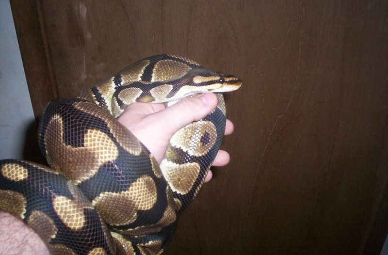 Hold me