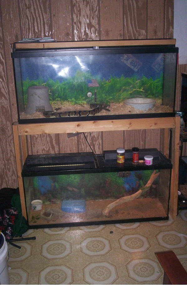 Monty's home