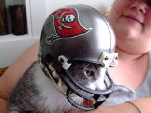 #1 Bucs fan