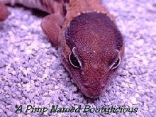 APNB